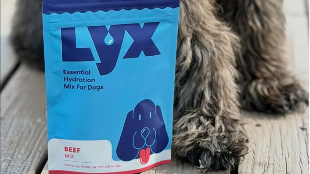 LYX Essential Hydration Mix For Dogs beef flavor pouch on a wood surface beside a dog's paw